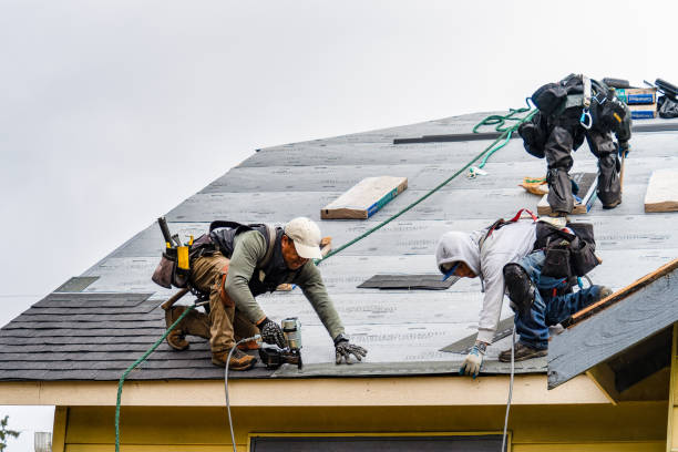 Professional Gutter Installation technician working in Shorewood, MN